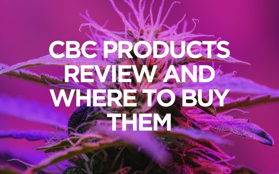 cbc-products-review-and-where-to-buy-them