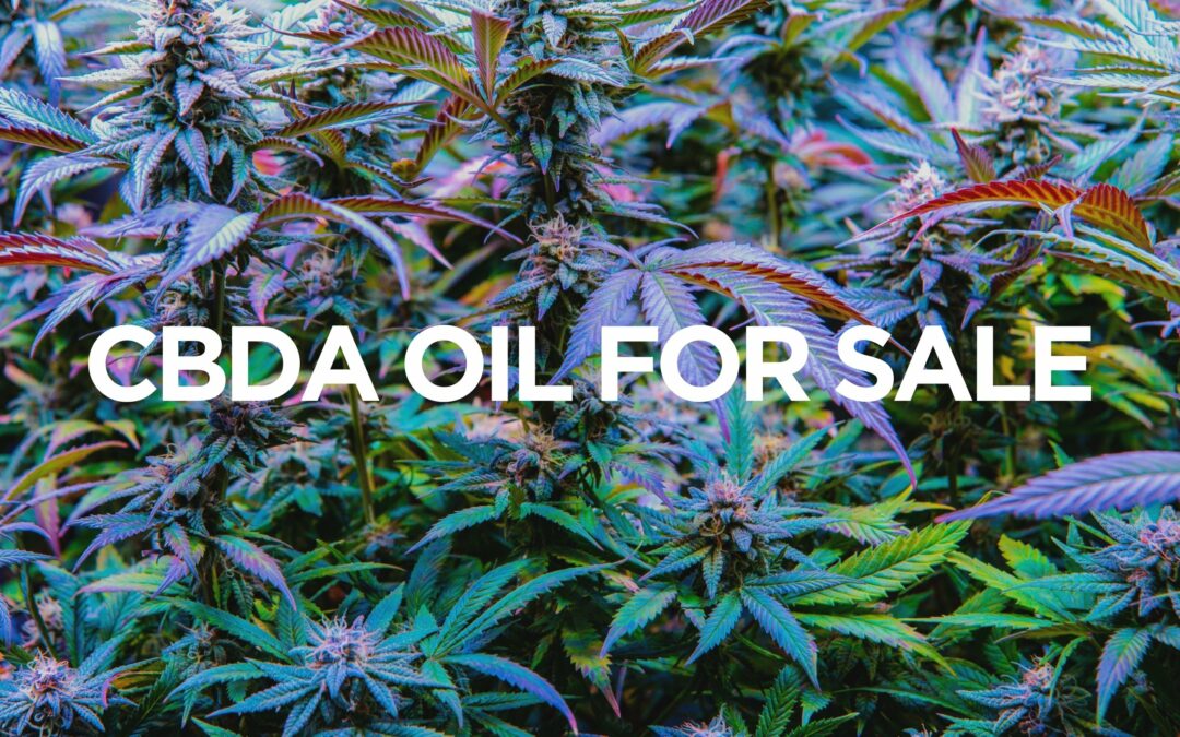 CBDA Oil For Sale