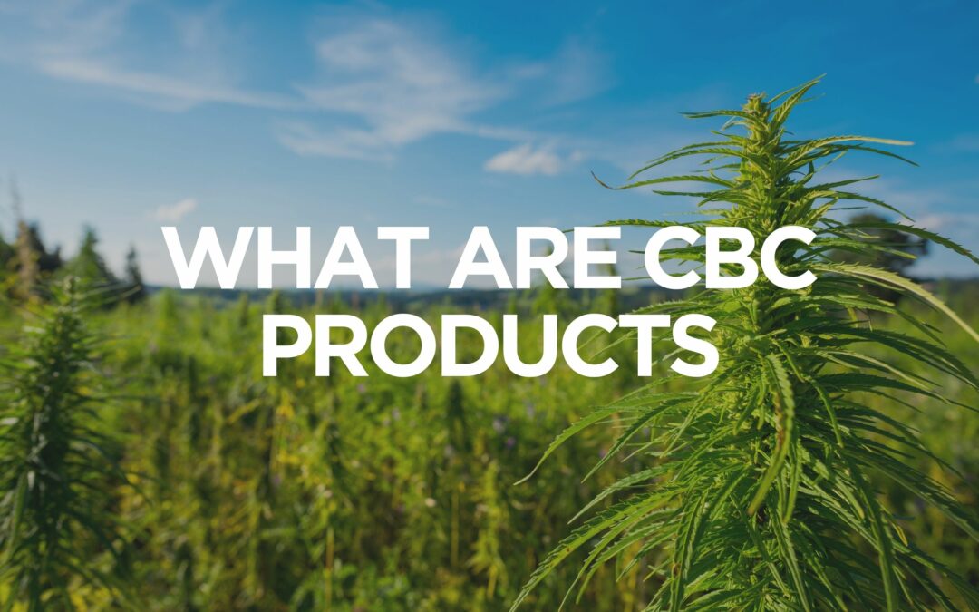 What Are CBC Products